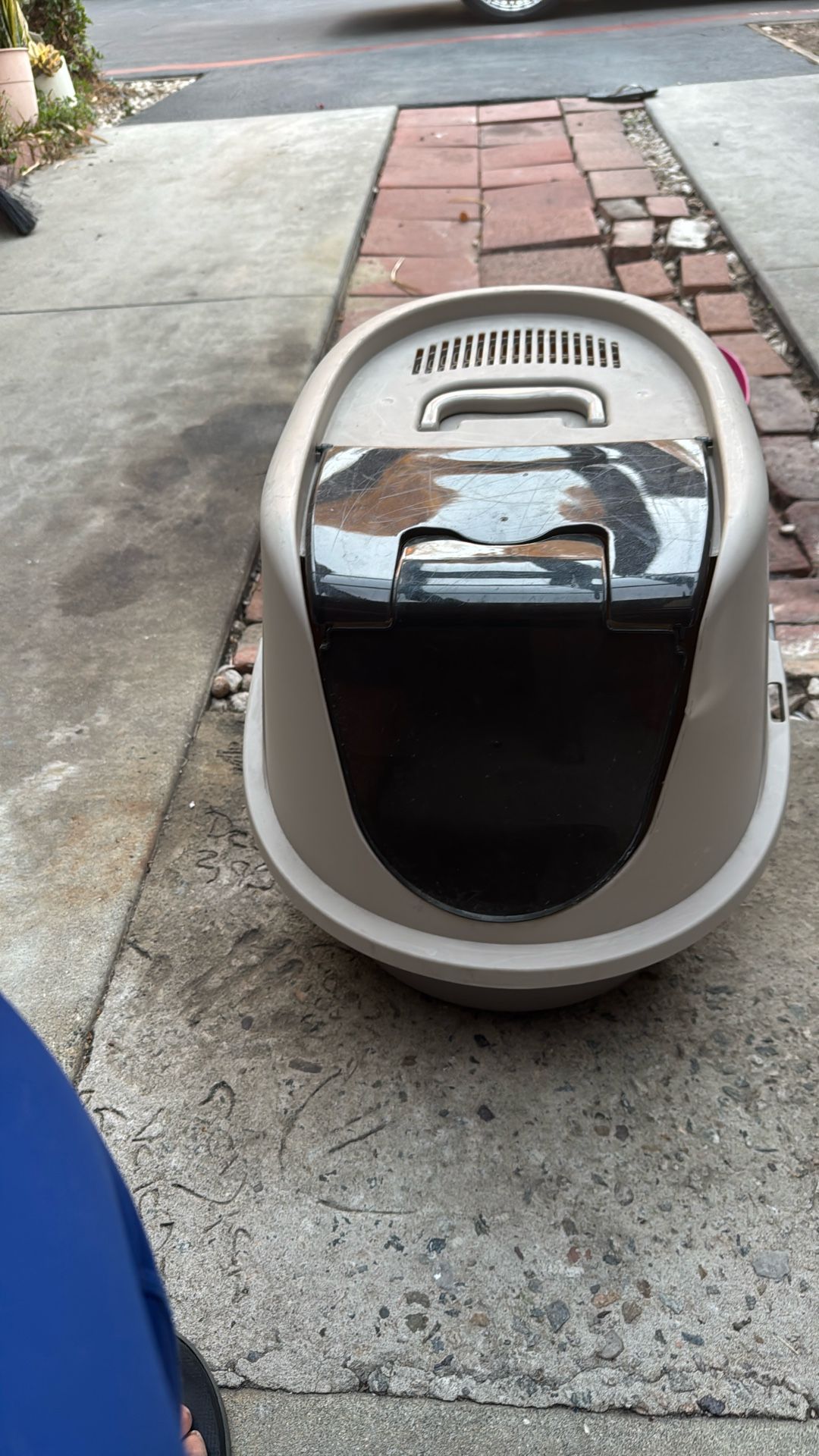 kitty litter box