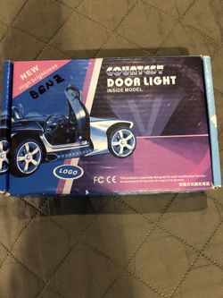 Mercedes Benz Door Lights
