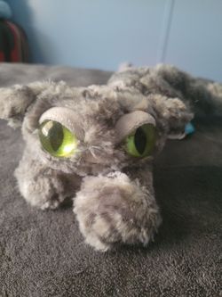 Cat plushy.