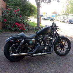 2019 Harley Davidson Sportster iron