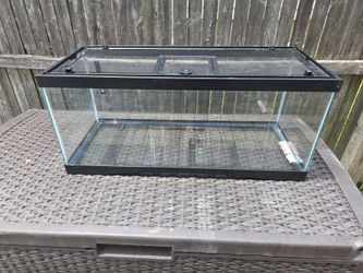 20 gallon reptile tank terrarium