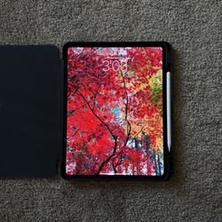 13” iPad Pro (M4) 256GB Storage (Near New) WITH Apple Pencil & Case
