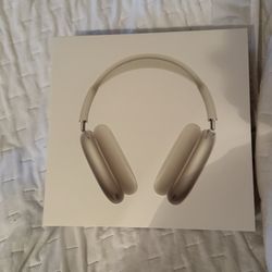 Airpod maxes 