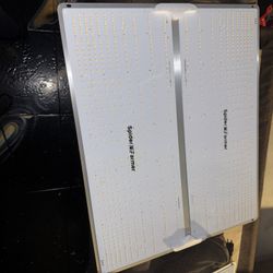 Spider Farmer Grow Light