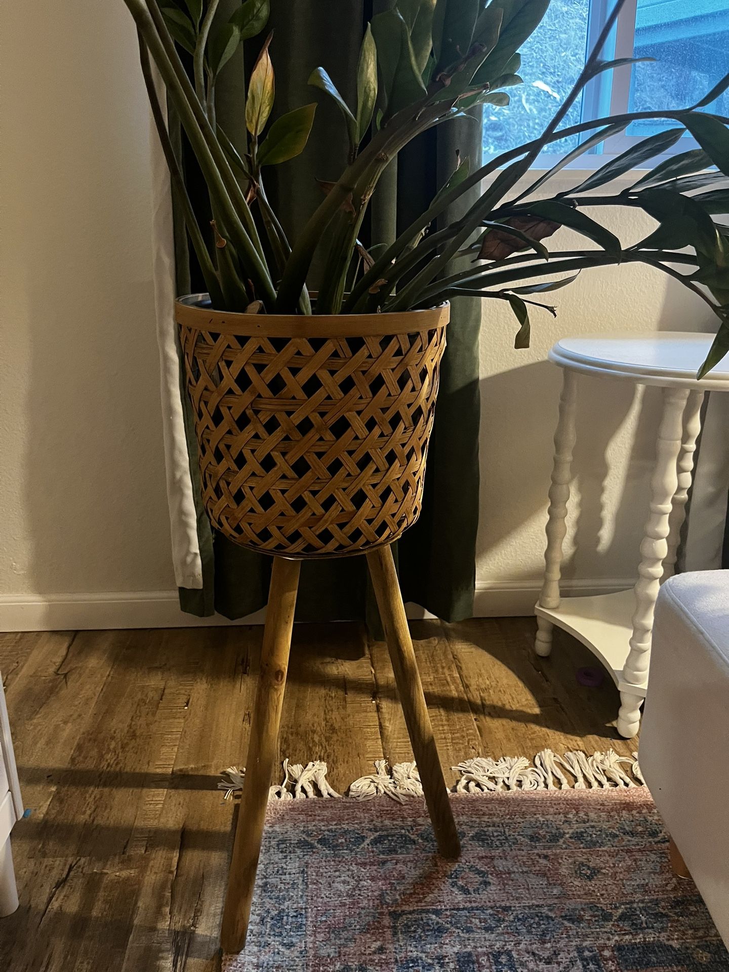 Plant Holder