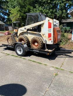 Bobcat NEED It GONE