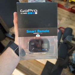 Go Pro Remote 