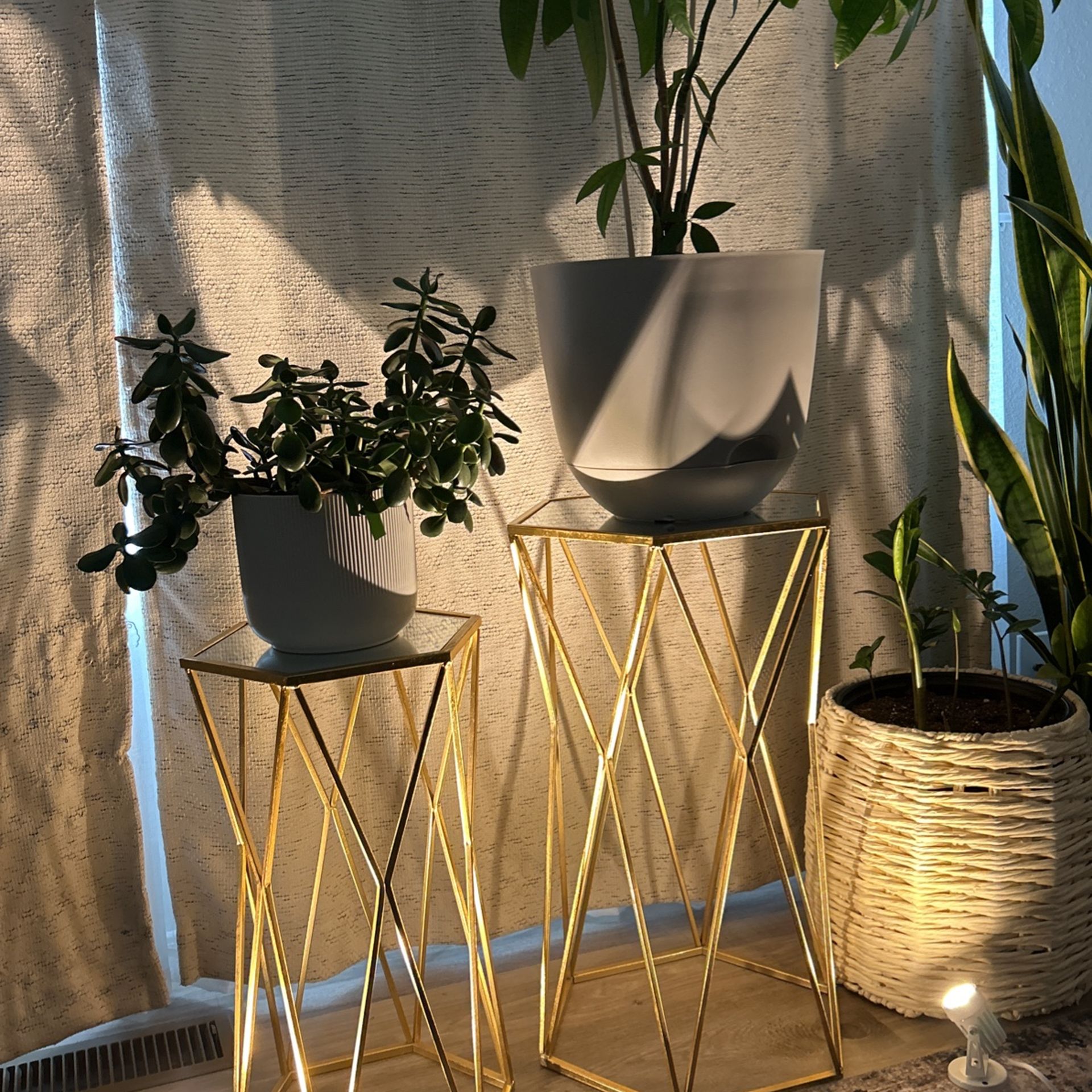 Lights 