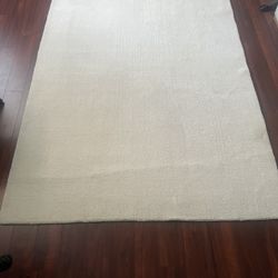 RH White Cream Wool Rug Elegant Low Pile 62x 95 “ Restoration Hardware