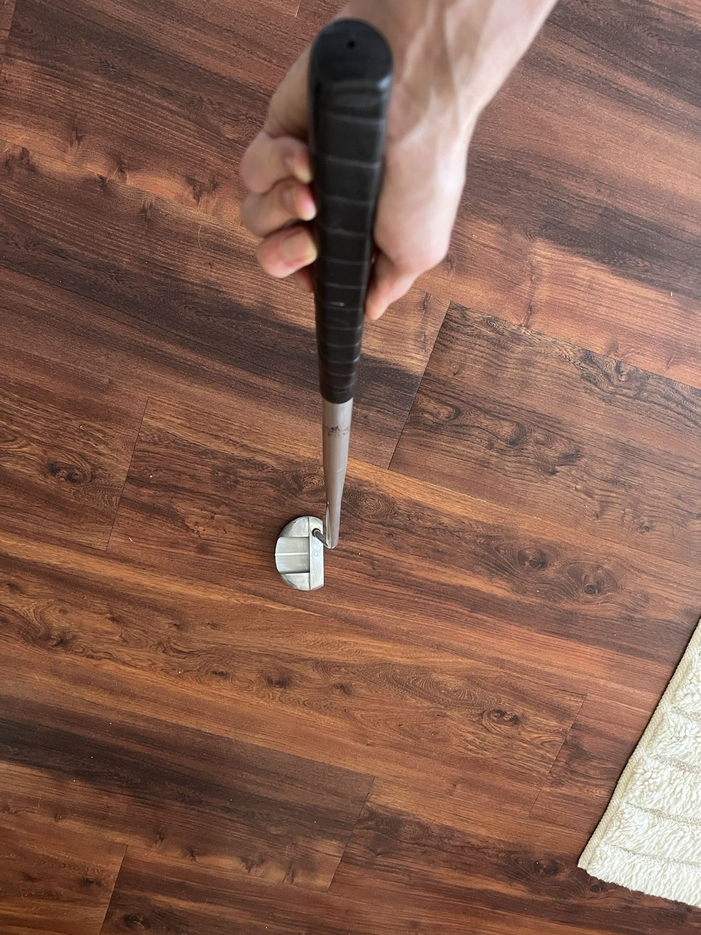 Hog Mallet Putter