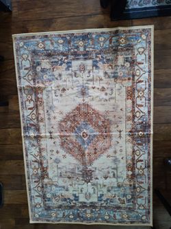 71x48in Area Rug