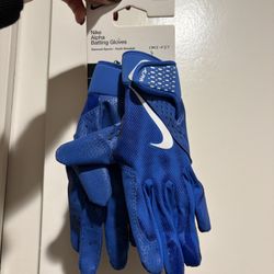 Nike Batting Gloves 