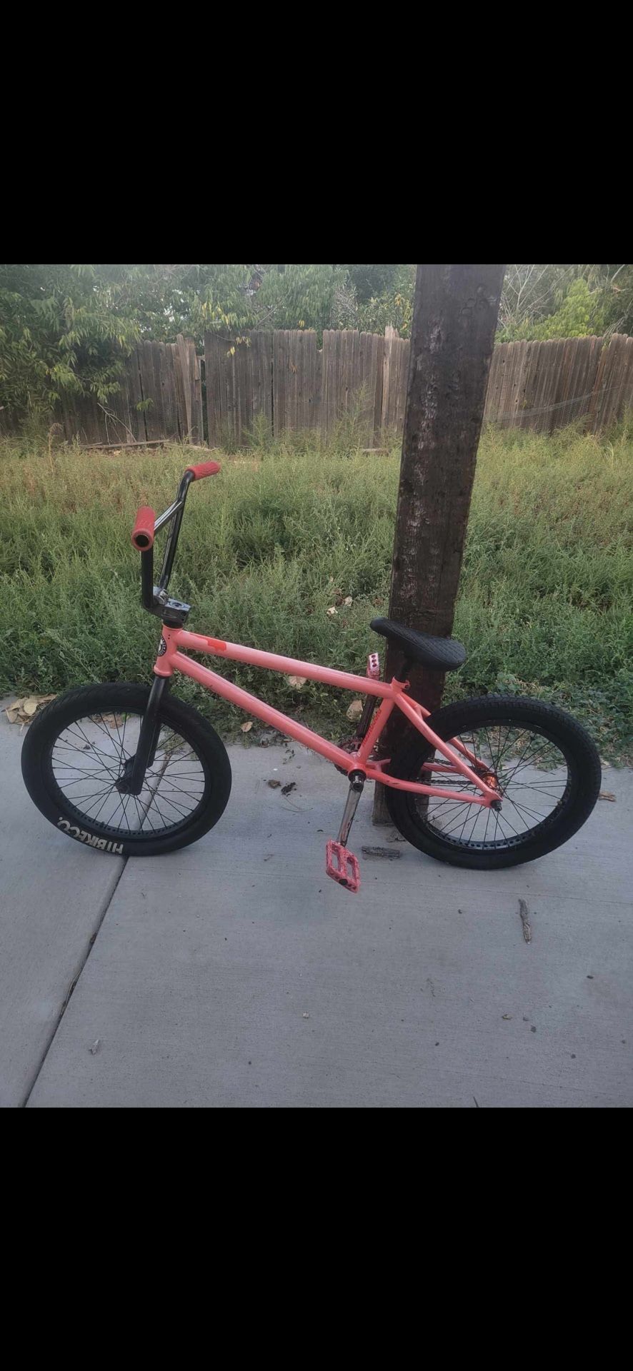 BMX Sunday Discovery 