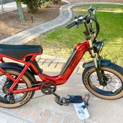 BUZZ -E-BIKE 