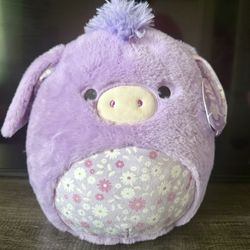 Squishmallow New W/ Tags 
