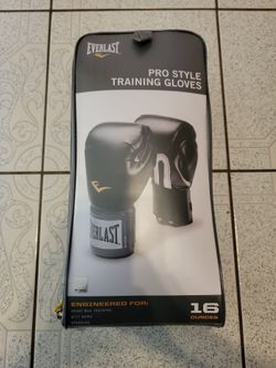 Everlast Boxing Training Gloves