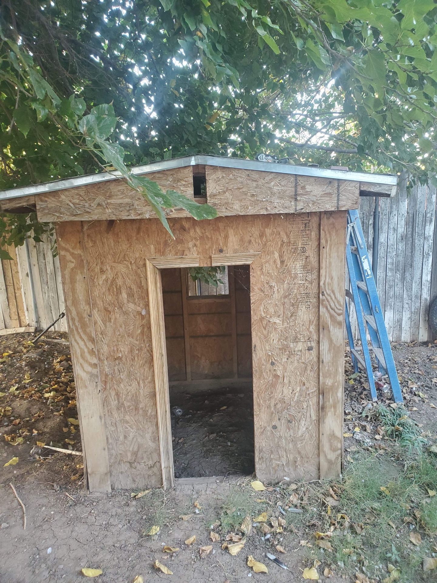 Dog house