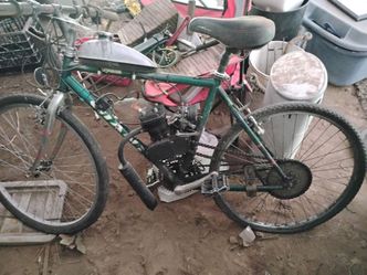 Gas powered bike