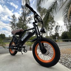 Electric Bike