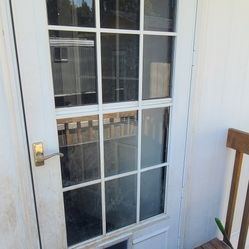 Dog Storm Door 