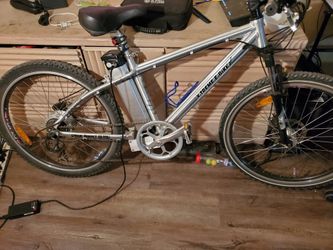 Electric mountain bike