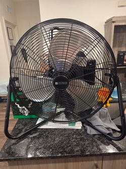 Fan