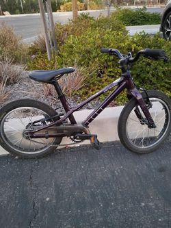 Specialized Kids Bike