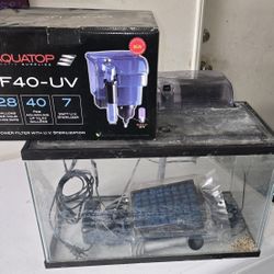 10 Gallon Aquarium With Hang On Back Filter