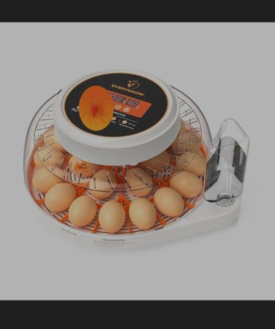 Incobators For Hatching Eggs