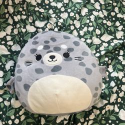 Gray Seal Squishmallow