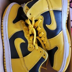 Nike Dunk Hi Basketball Sneaker 8m