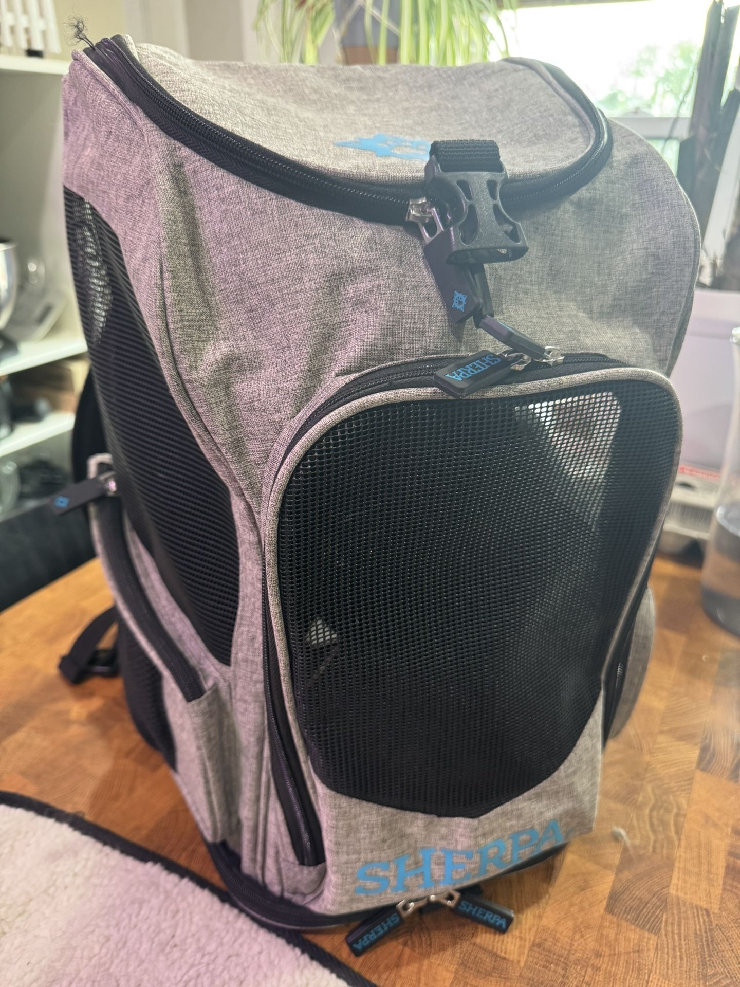 Sherpa 2-in-1 Pet Backpack and Carrier