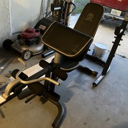 XRS 20 Golds Gym bench