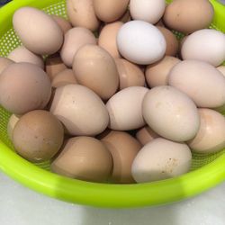Fresh Farm Eggs 
