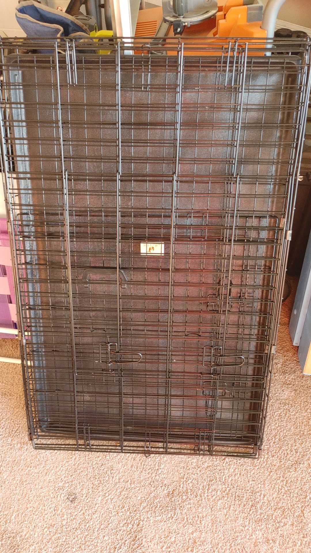 Large dog crate in great shape