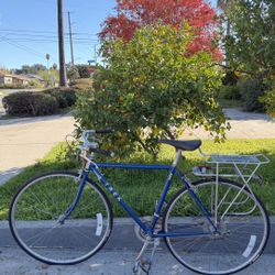 1988 Trek Elance 