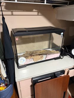 15 Gallon Glass Aquarium 24” + Screen Lid