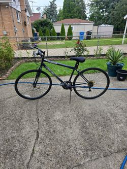 Adult Bike  28in
