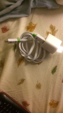 Iphone charger