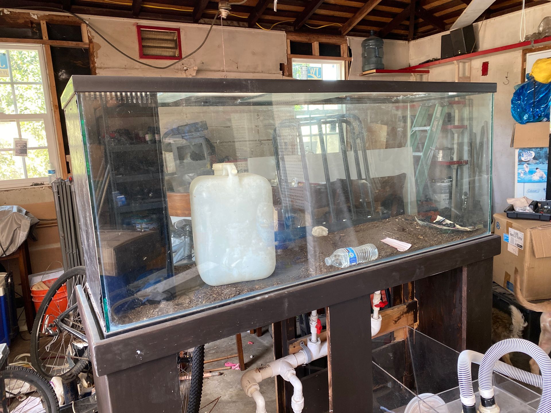 100 gallon fish tank / Aquarium