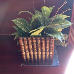 Silk Plant In Wooden Vase