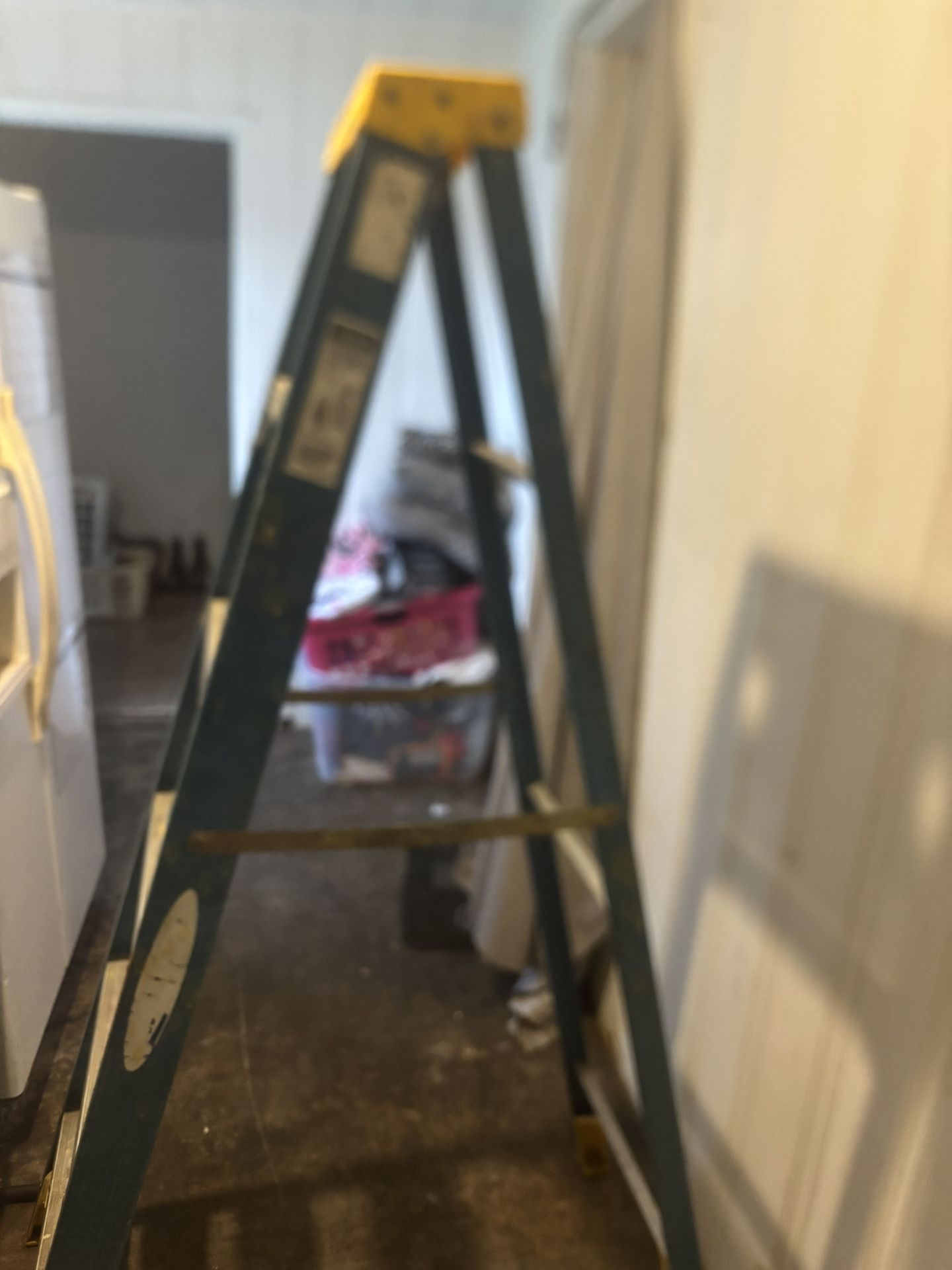 Warner 6ft Ladder