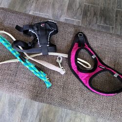 2 leaches for 🐕  and 2 vest