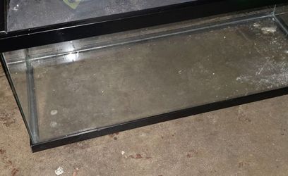 Reptile Tank