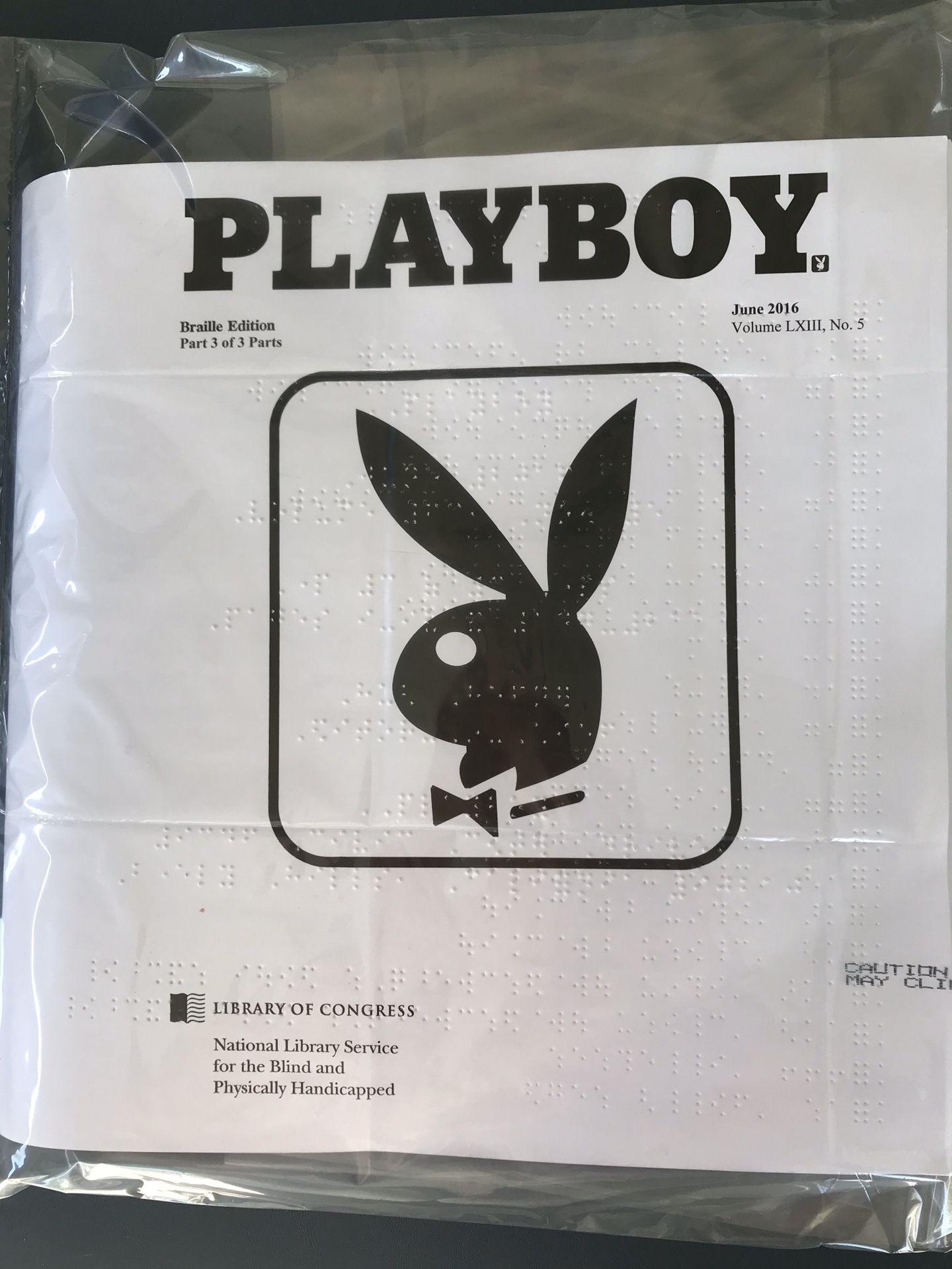 Braille Playboy