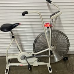 Schwinn AirDyne Bike