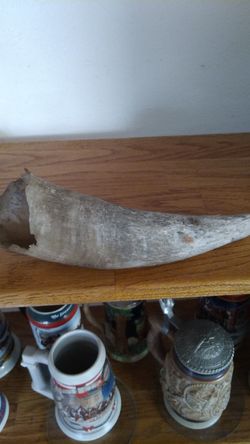 Bull horn