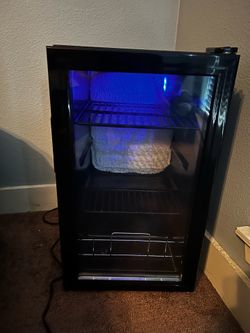 Mini Fridge