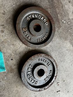 Two 25 lb Standard Weight Plates – 50 lbs Total