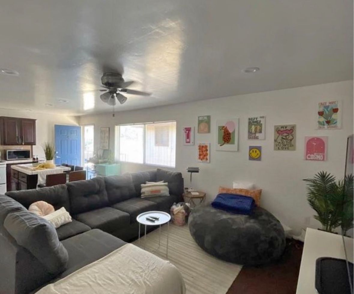 Grey Sectional Couch 